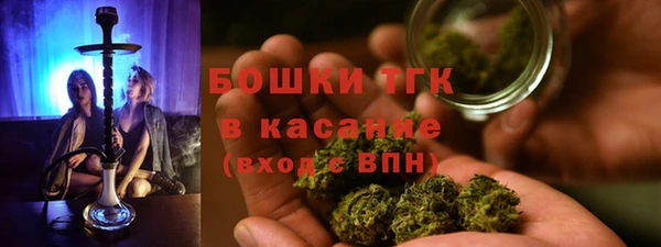 PSILOCYBIN Лихославль