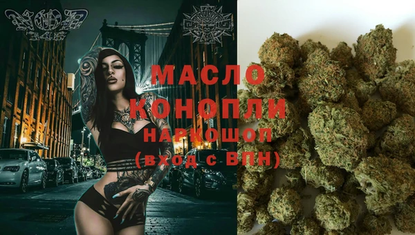 МДПВ Ветлуга