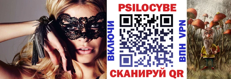 Галлюциногенные грибы Psilocybine cubensis  Мегион 
