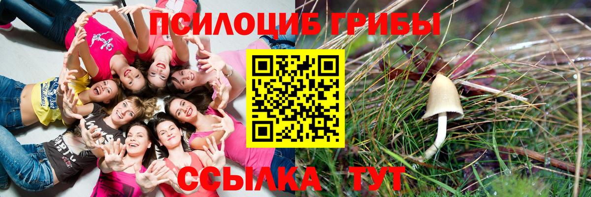 Мегион  Галлюциногенные грибы ЛСД  Вход с VPN  Галлюциногенные грибы Psilocybe 